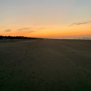 Meet your Posher, Carter